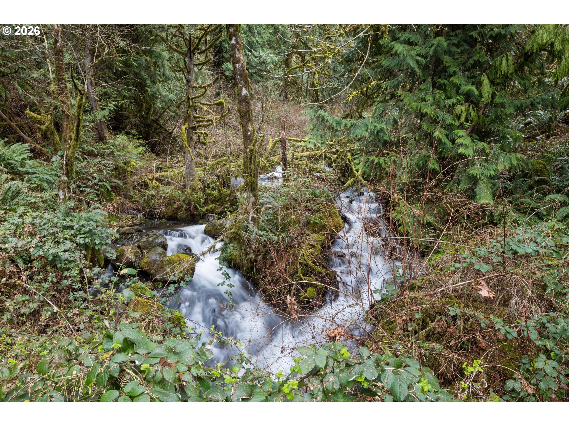 12011 Southeast Misti Way Sandy, OR 97055 - Photo 6 of 21
