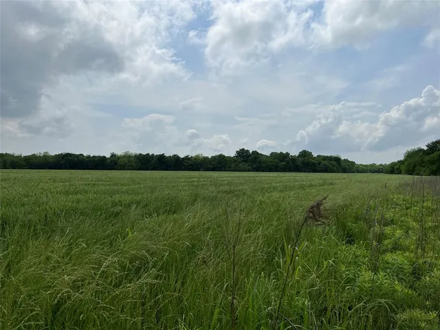 a view of a garden with a bench