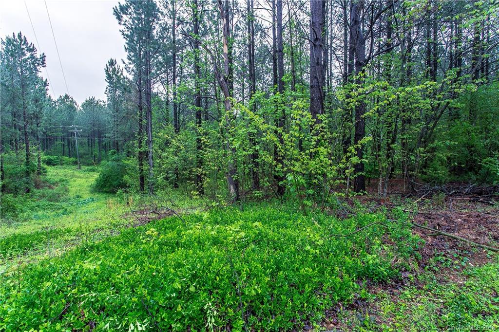20168 Bantam Road Richfield, NC 28137 - Photo 27 of 29