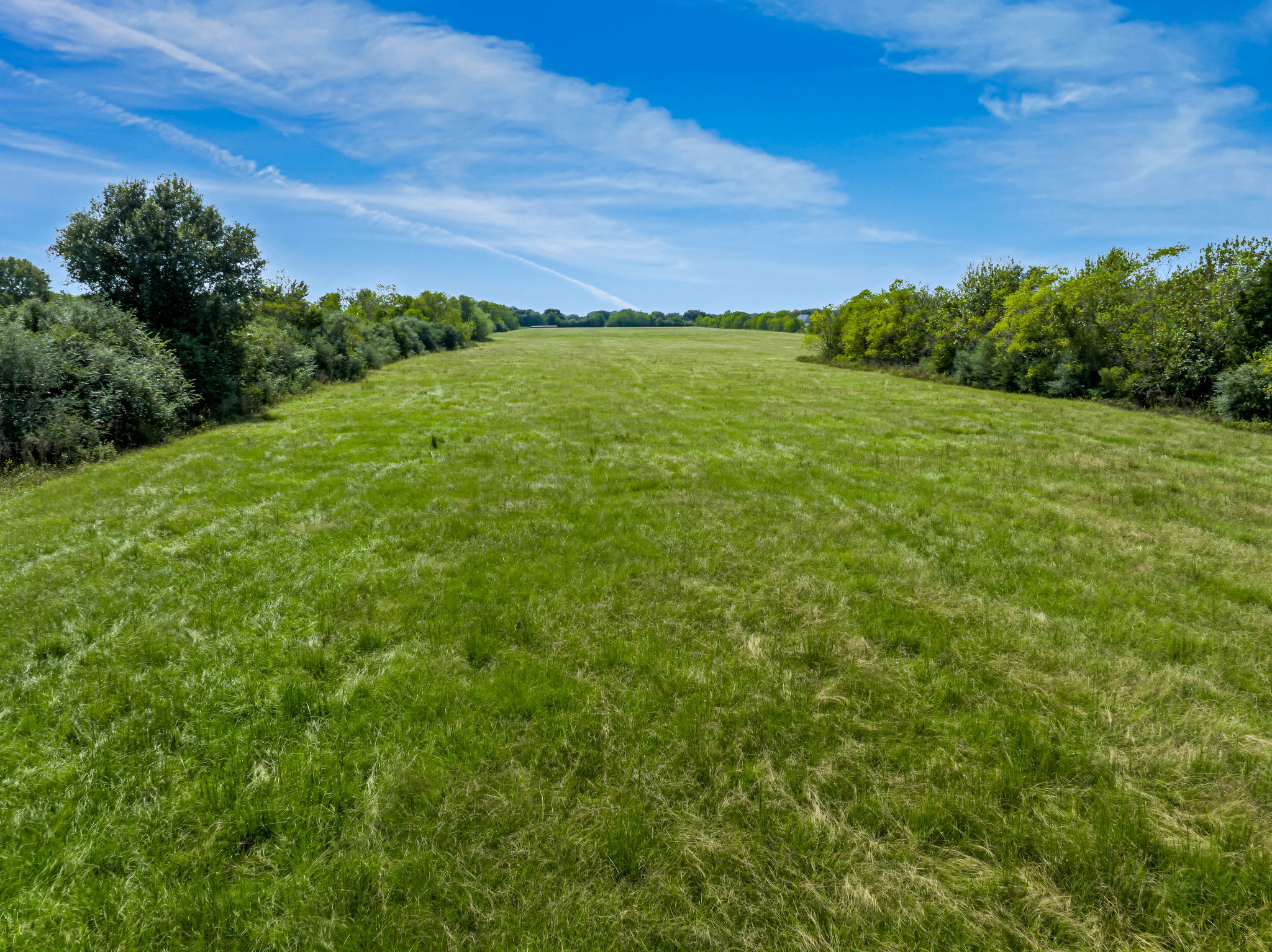 37280 Clapp Road Brookshire, TX 77423 - Photo 28 of 34 Mature trees frame a wide pasture under clear blue skies.