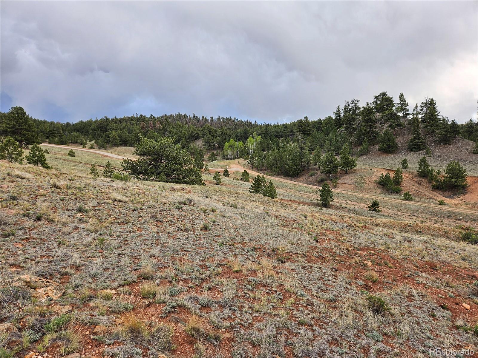 Fernando Trail Hartsel, CO 80449 - Photo 30 of 35