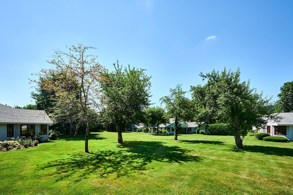 14 McIntosh Drive, Unit 14 Amherst, MA 01002 - Photo 36 of 42