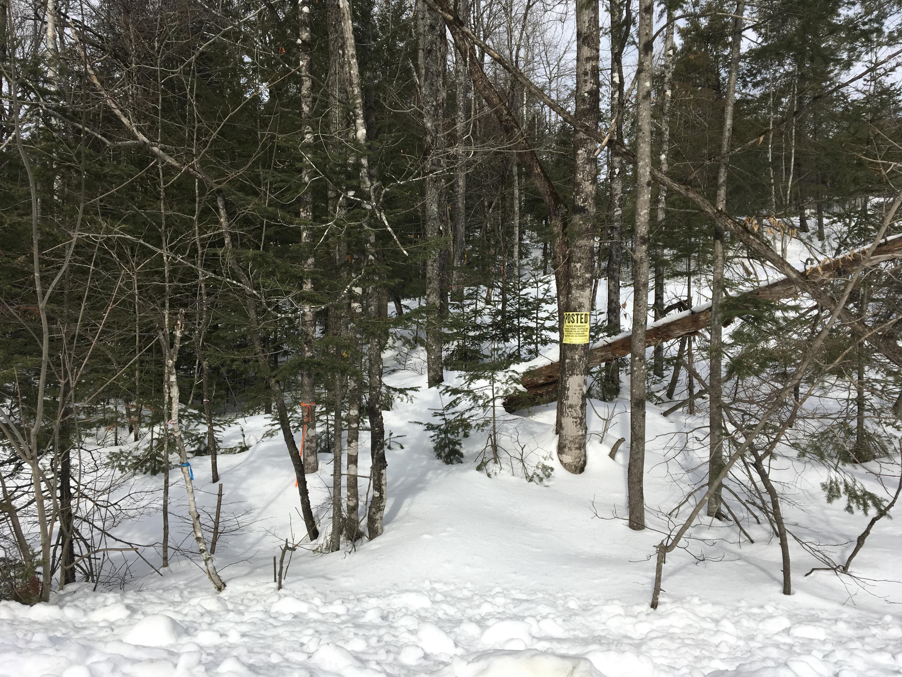 Lot 23 Burough Road Dover-Foxcroft, ME 04426 - Photo 3 of 15 Photo Feb 05, 11 28 32 AM