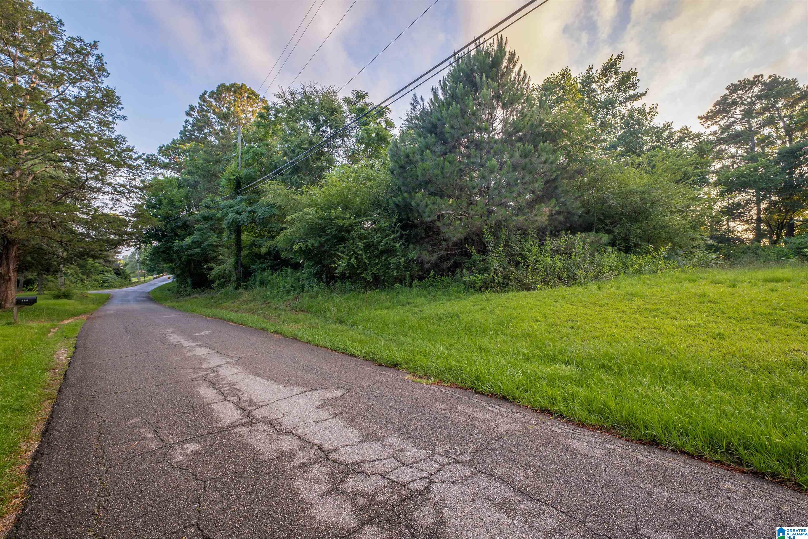 0 Levine Road, Unit X Odenville, AL 35120 - Photo 11 of 16