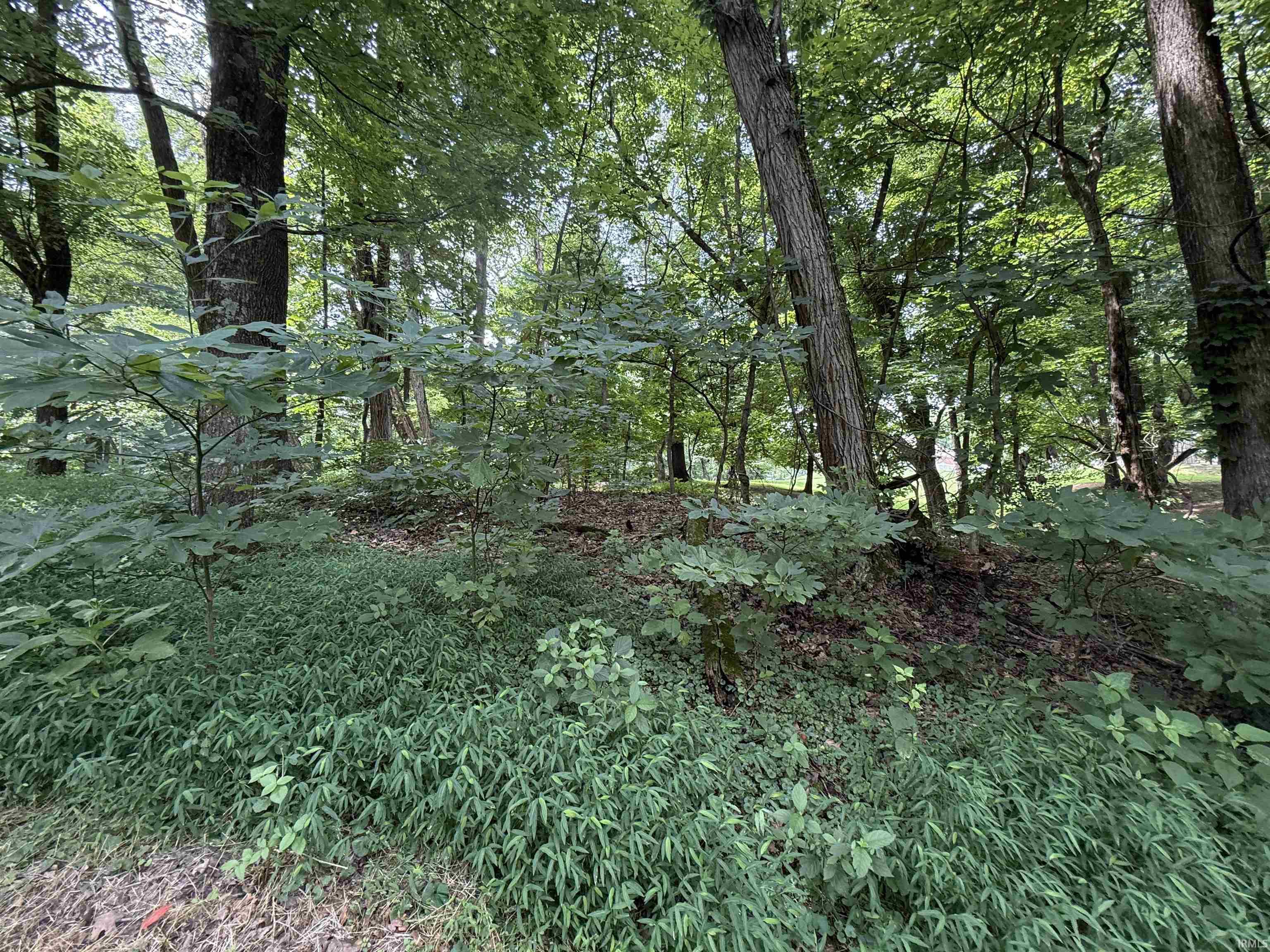0 Schlensker Road Evansville, IN 47713 - Photo 15 of 23 Gallery Image 15