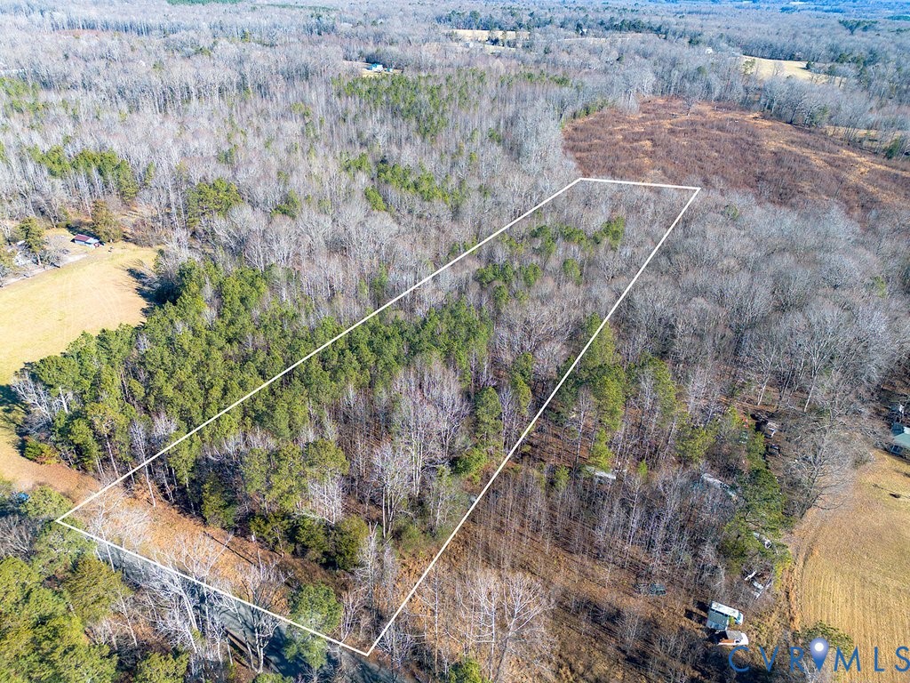 Tbd New Town Road New Kent, VA 23124 - Photo 5 of 10 a view of a yard with plants and a bench