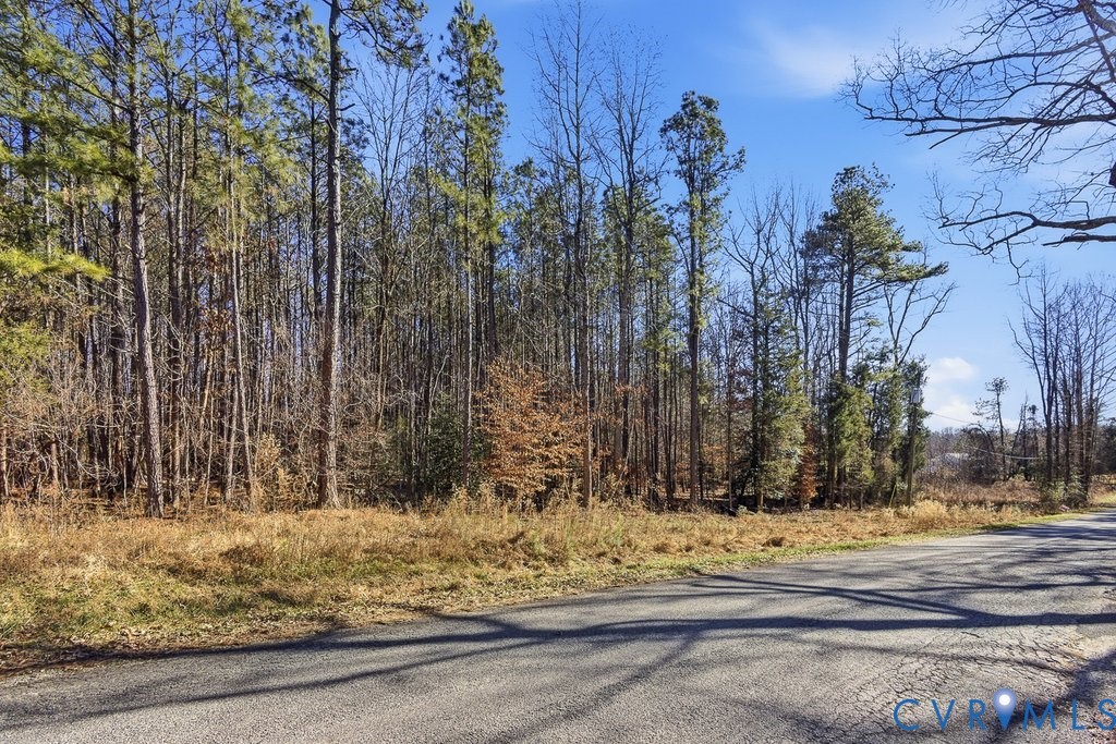 Tbd New Town Road New Kent, VA 23124 - Photo 7 of 10 a view of a yard and tree
