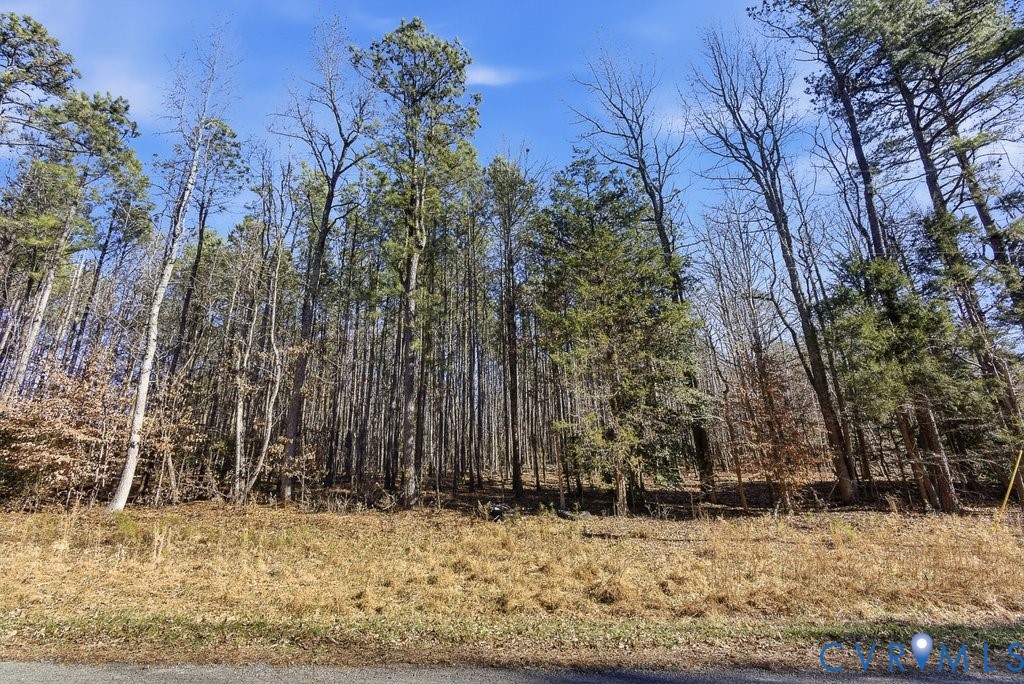 Tbd New Town Road New Kent, VA 23124 - Photo 8 of 10 a view of a yard covered with snow