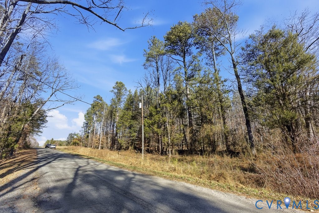 Tbd New Town Road New Kent, VA 23124 - Photo 9 of 10 a view of a yard with plants and trees