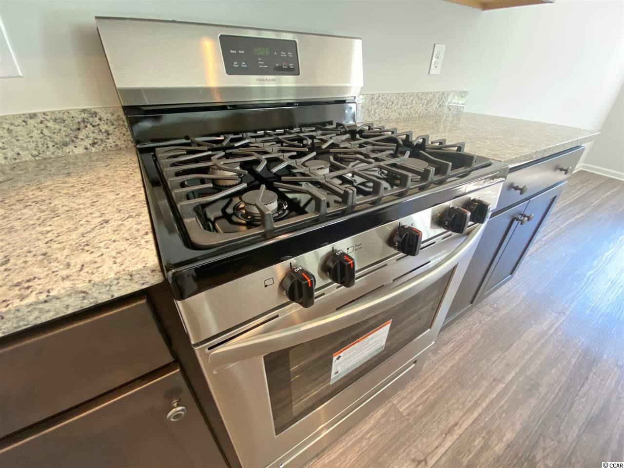 212 Palm Terrace Loop Conway, SC 29526 - Photo 6 of 27 Gallery Image 6