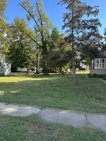 a plant with lots of flowers