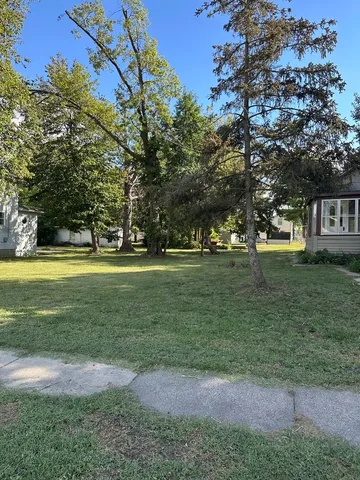 a plant with lots of flowers