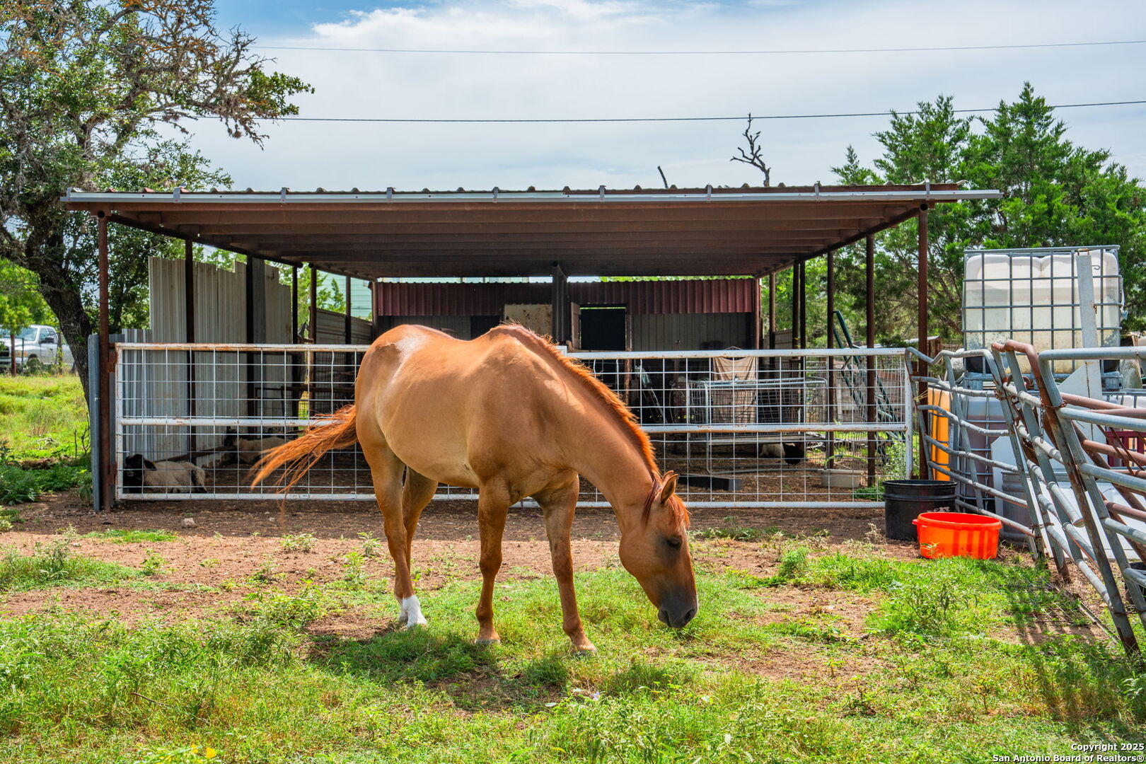 943 Stoneleigh Road Center Point, TX 78010 - Photo 26 of 36 a view of backyard with a table and chairs