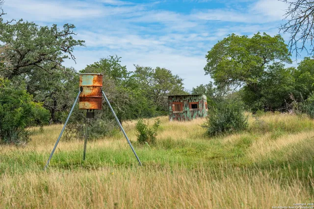 a backyard of a house with a yard and potted plants