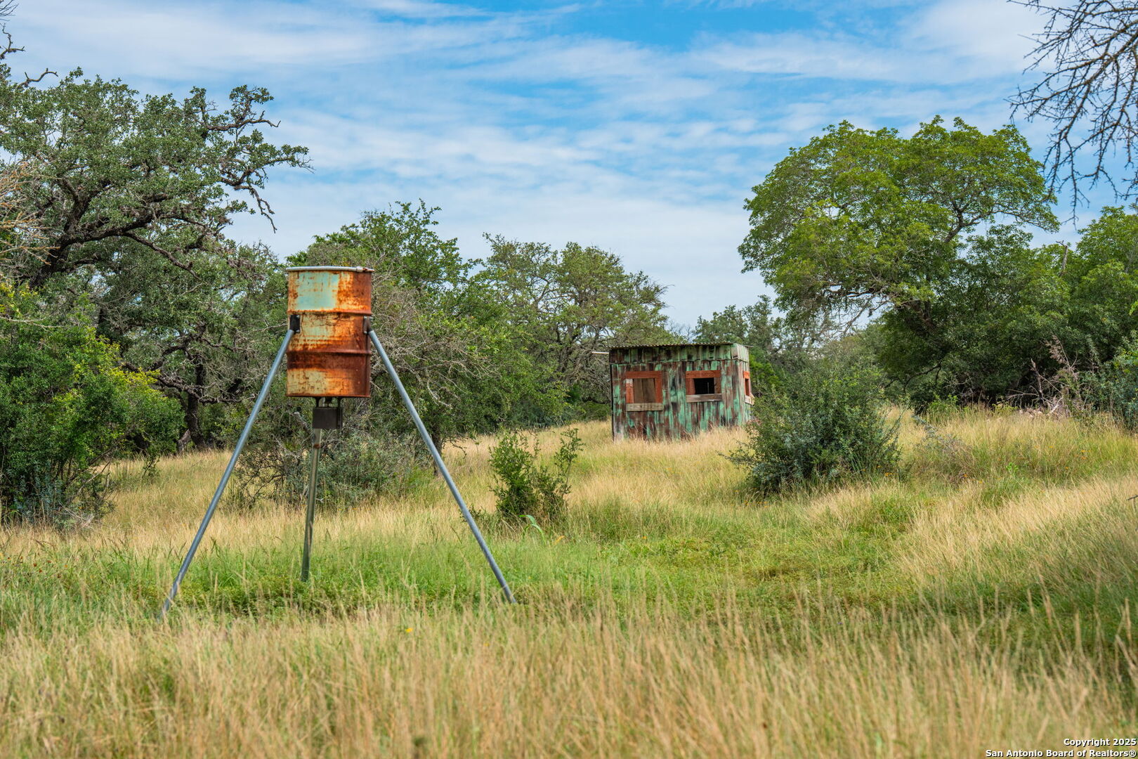 943 Stoneleigh Road Center Point, TX 78010 - Photo 30 of 36 a backyard of a house with a yard and potted plants