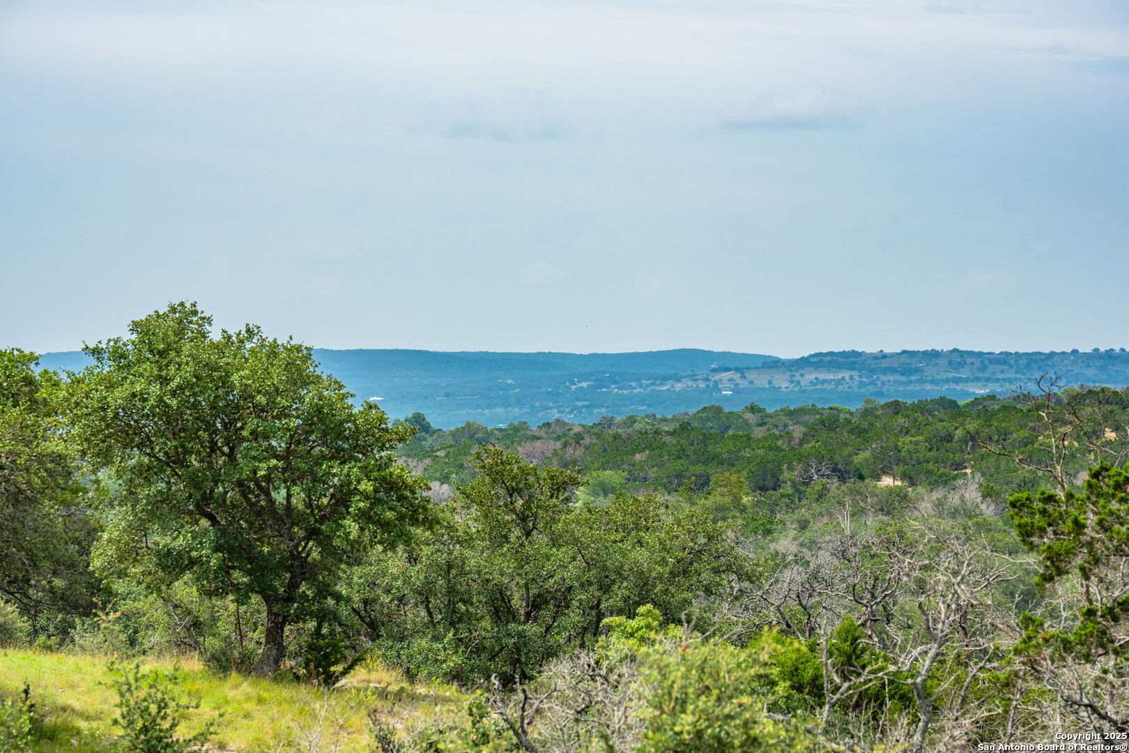 943 Stoneleigh Road Center Point, TX 78010 - Photo 34 of 36 a view of a lush green forest with trees in the background