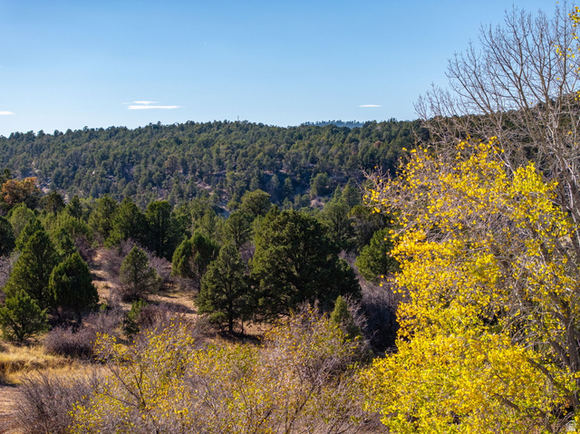 6 South N Frk Road Orderville, UT 84758 - Photo 47 of 68 View of mountain backdrop featuring a heavily wooded area