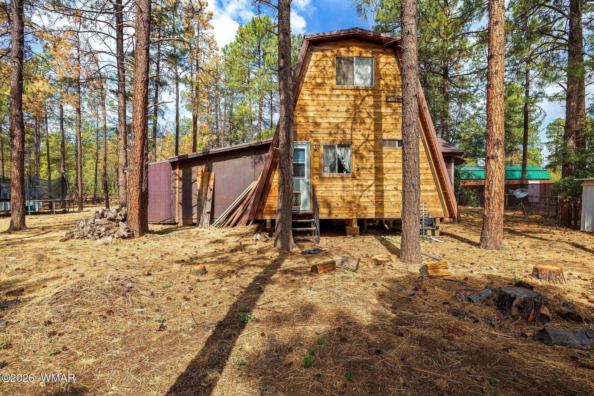 2861 Angel Trail Overgaard, AZ 85933 - Photo 16 of 28