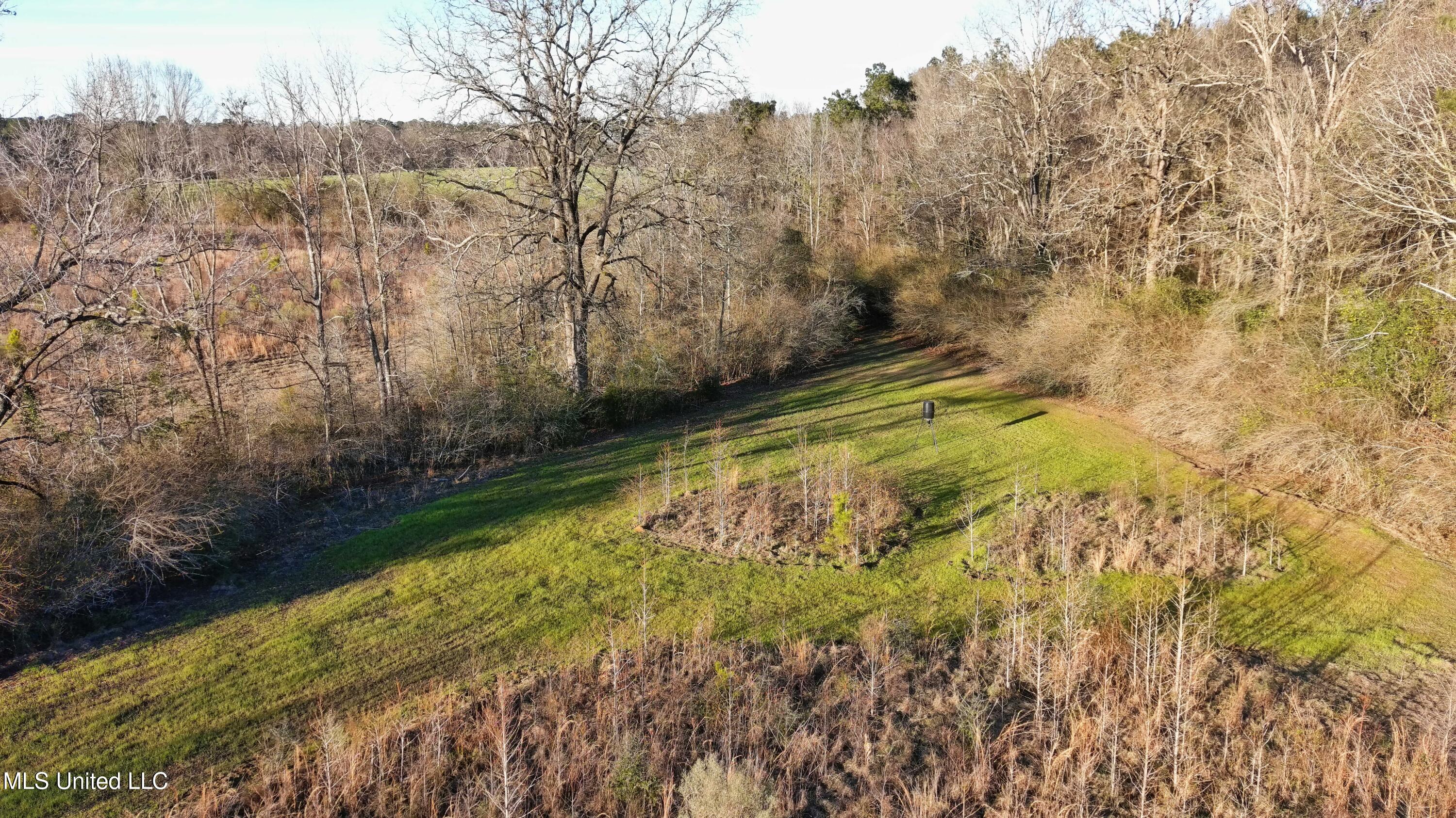 18.7 Northeast Nola Road Brookhaven, MS 39601 - Photo 11 of 15 MAX_0112