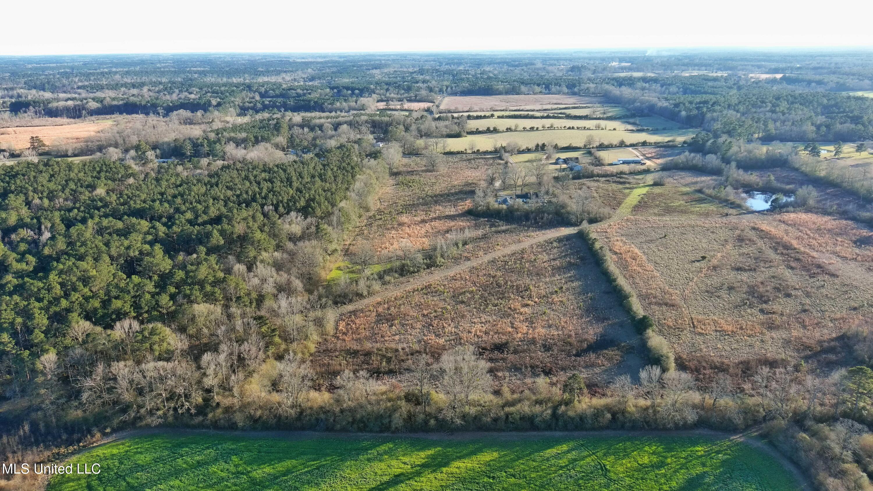 18.7 Northeast Nola Road Brookhaven, MS 39601 - Photo 5 of 15 MAX_0110