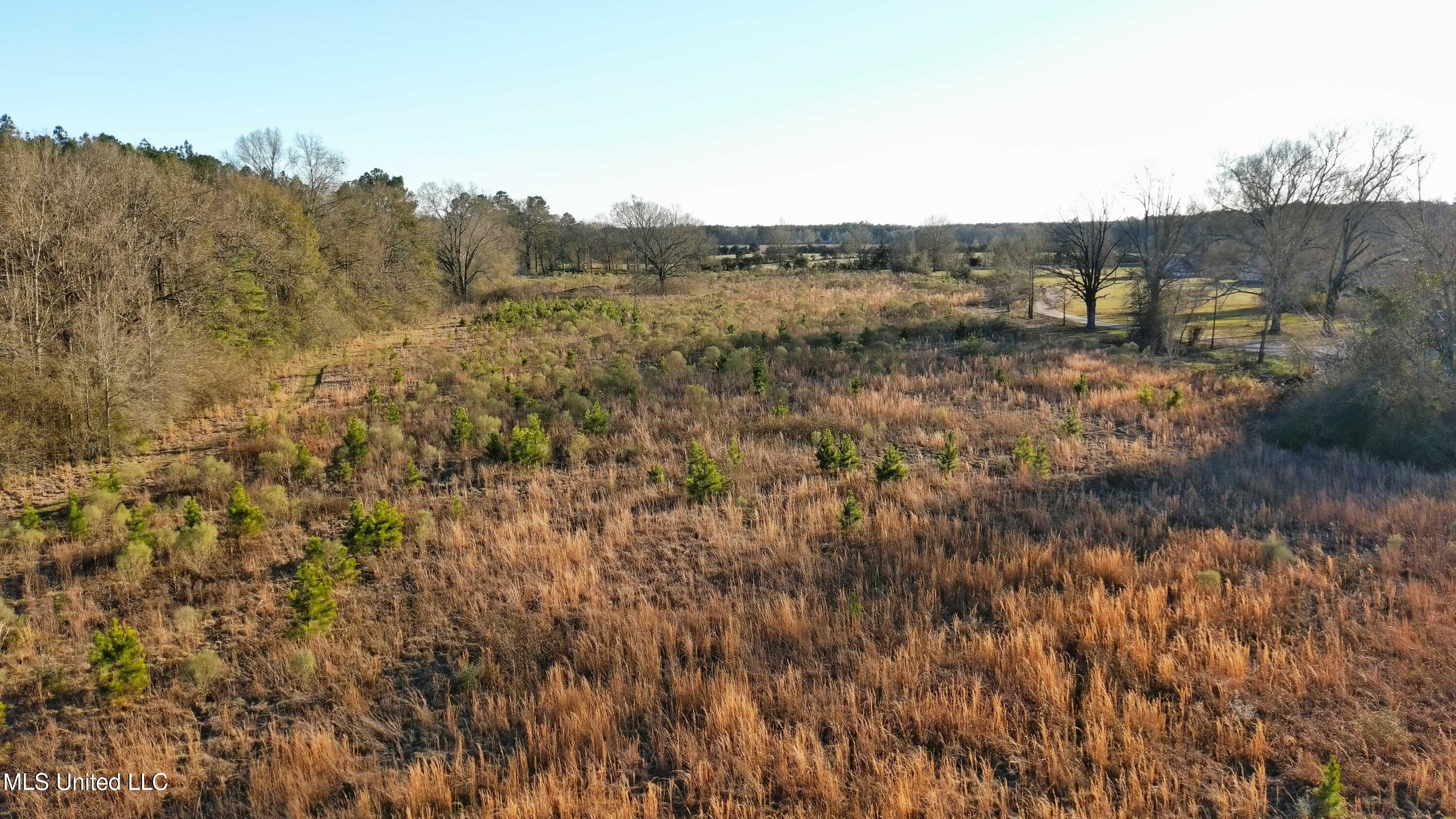 18.7 Northeast Nola Road Brookhaven, MS 39601 - Photo 8 of 15 MAX_0113