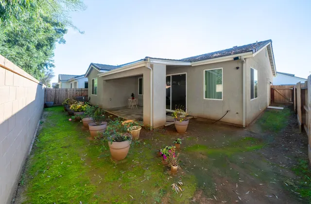 a view of a backyard with plants and a garden