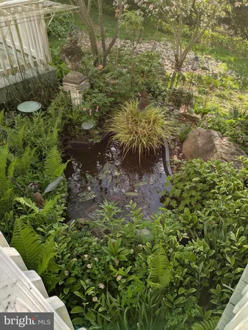 a view of a park with large trees