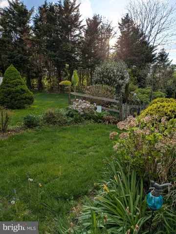 a view of a flower in a garden