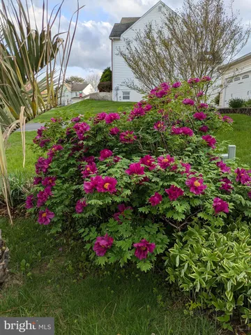 a big yard with lots of green space and trees