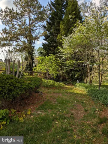 a view of a flower garden