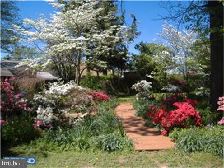 14 Goodrock Road Levittown, PA 19057 - Photo 17 of 19 Back Yard