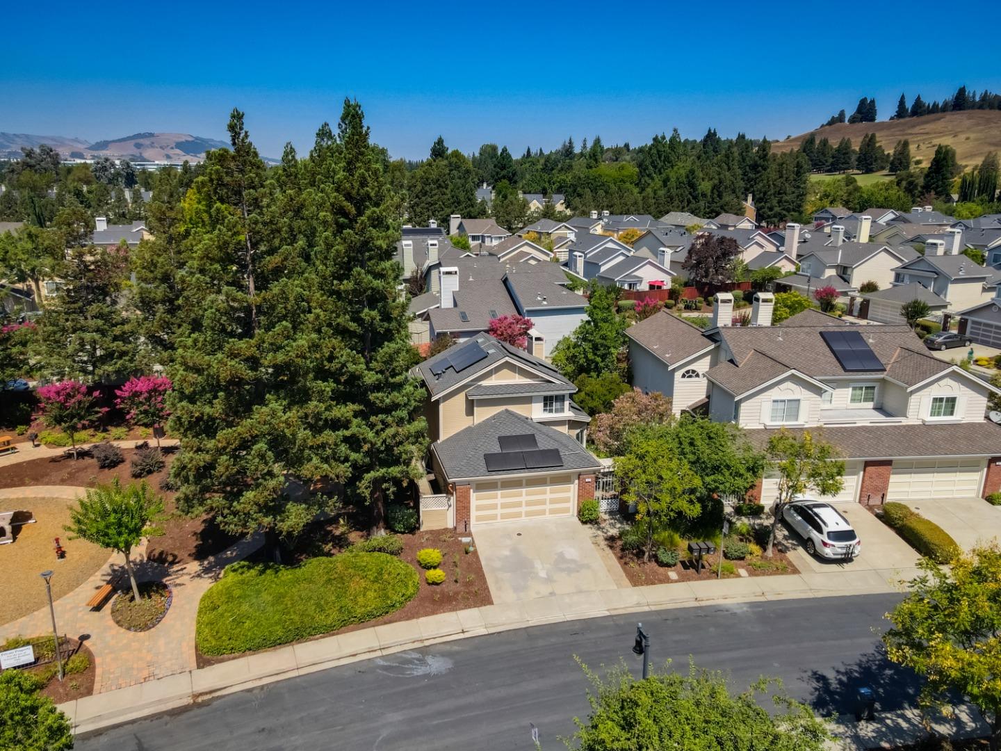 903 Springview Circle San Ramon, CA 94583 - Photo 35 of 41 a view of a city with flower plants