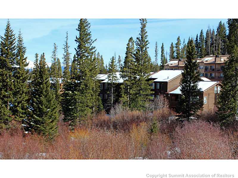 10000 Ryan Gulch Road, Unit 201G Silverthorne, CO 80498 - Photo 17 of 24 Exterior Back.