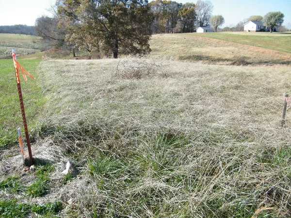 a view of open space with green field and trees