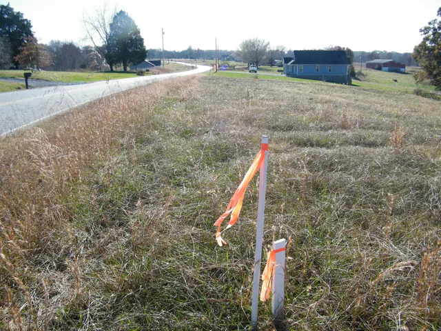 a view of a field with trees in background