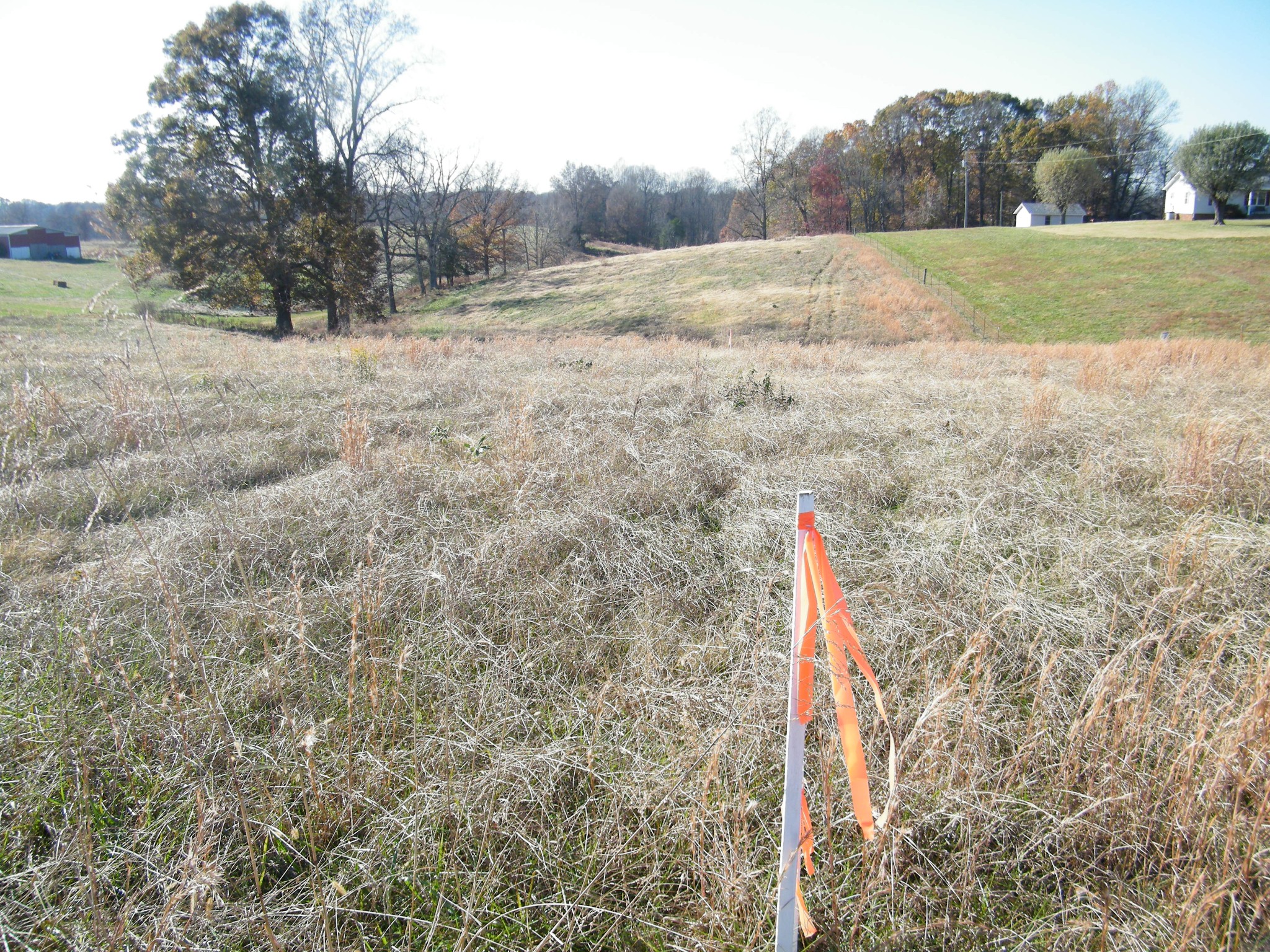 18 B Galen Road Lafayette, TN 37083 - Photo 6 of 14 a view of a field with trees in background