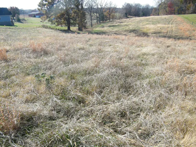 a flag is sitting in the middle of a yard