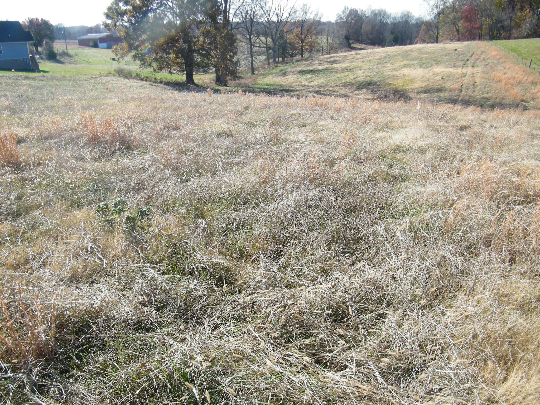 18 B Galen Road Lafayette, TN 37083 - Photo 7 of 14 a view of a yard with an outdoor space
