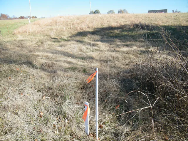 a fire hydrant in the middle of a field