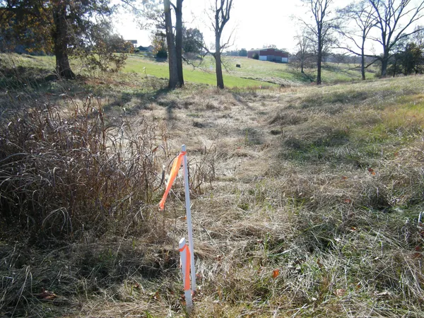 a view of a yard