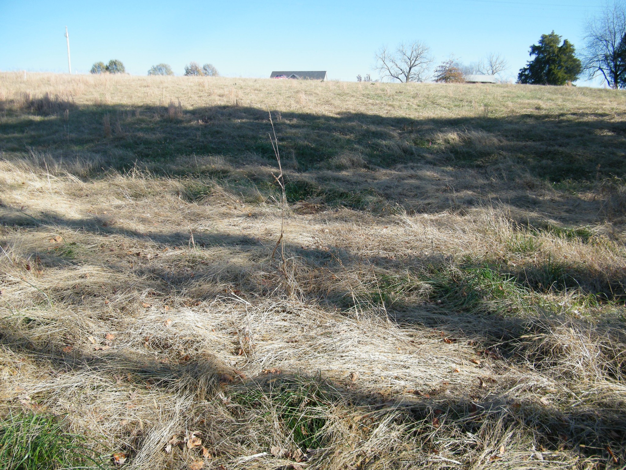 18 B Galen Road Lafayette, TN 37083 - Photo 10 of 14 a view of a yard