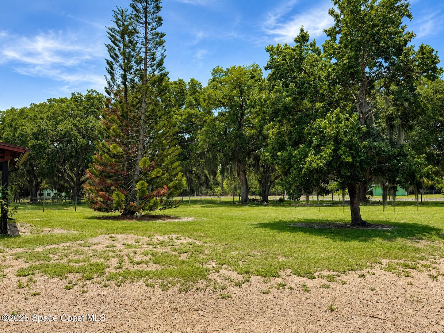 545 Chase Hammock Road Merritt Island, FL 32953 - Photo 7 of 17 backyard