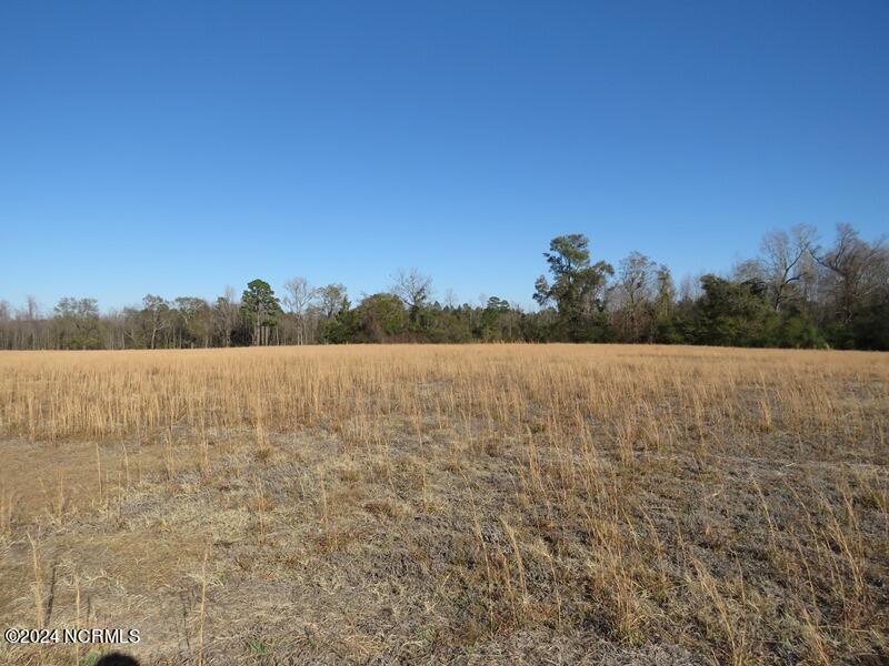 Tbd Odum Road Lumberton, NC 28360 - Photo 8 of 15 IMG_7342
