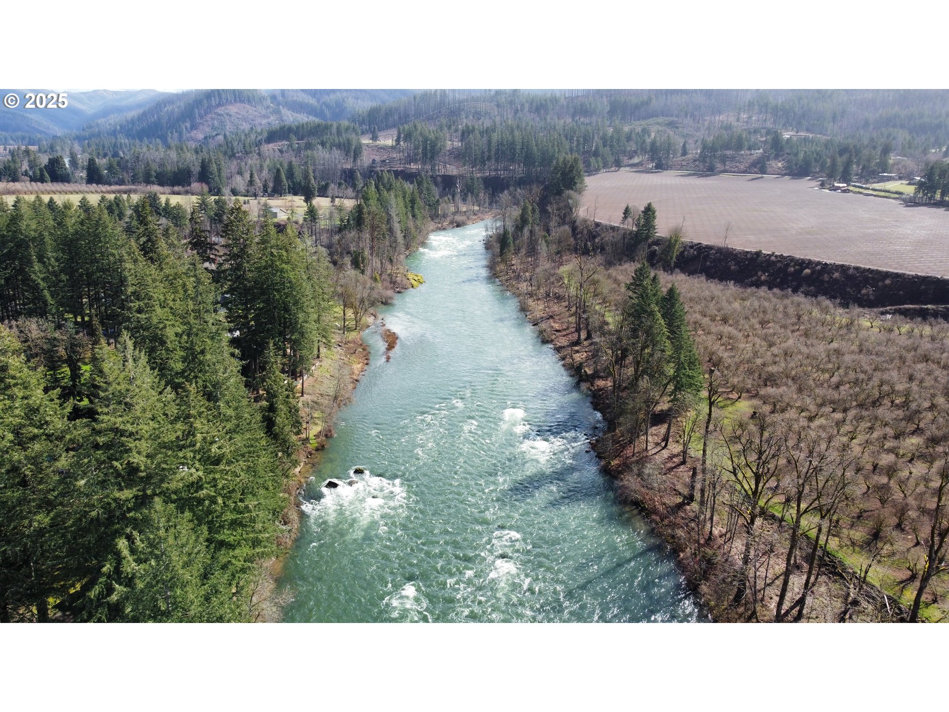 Mckenzie Highway Vida, OR 97488 - Photo 12 of 17