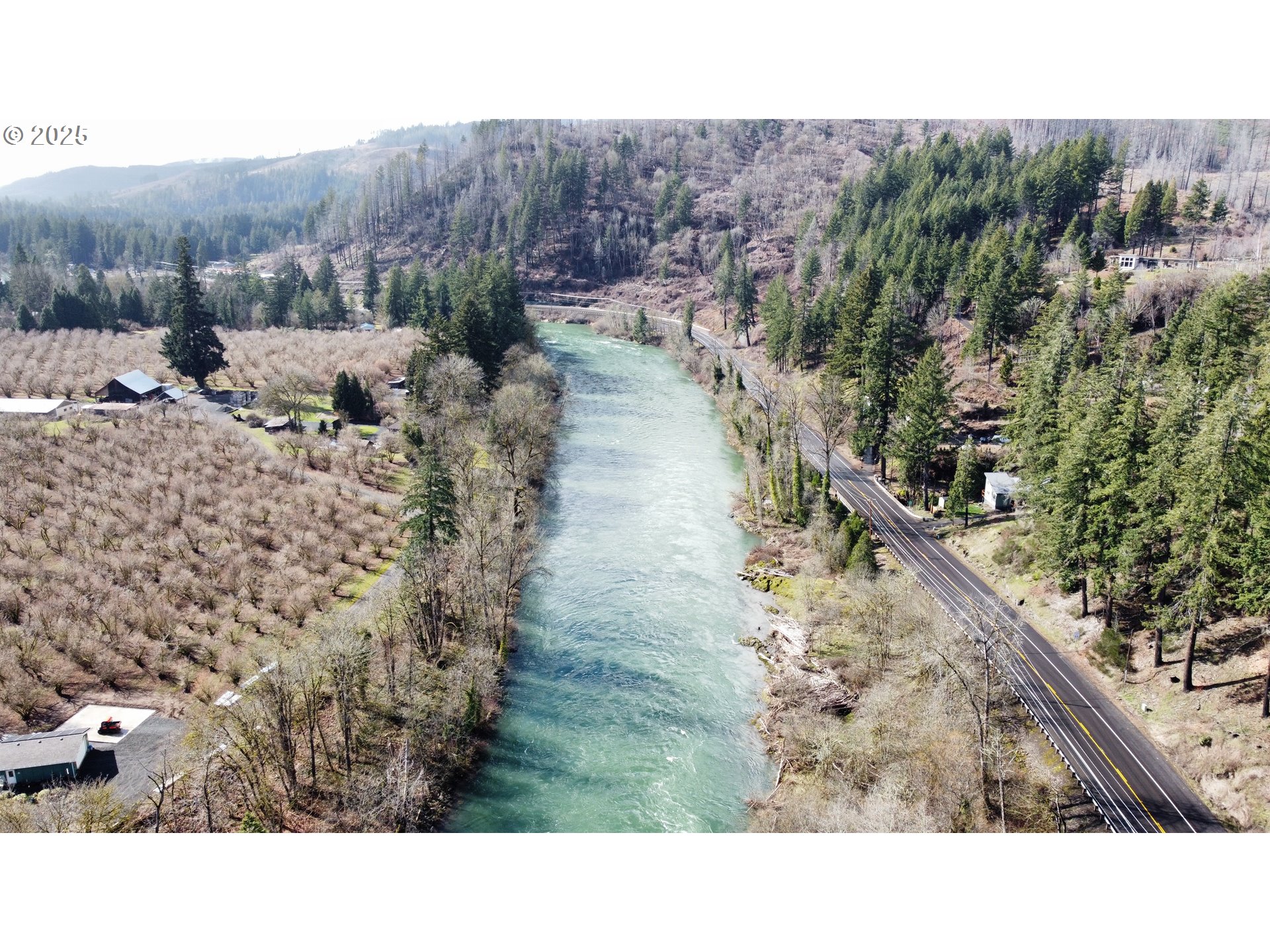 Mckenzie Highway Vida, OR 97488 - Photo 13 of 17