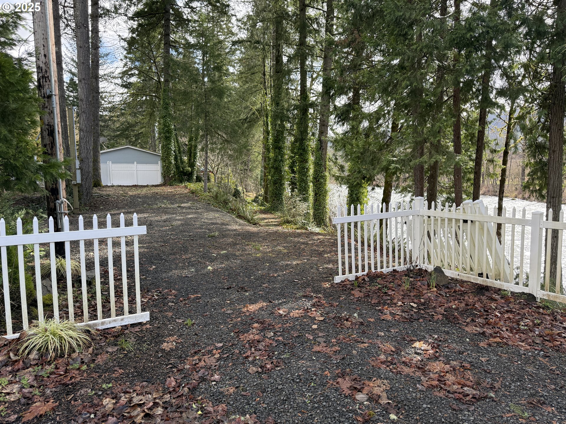 Mckenzie Highway Vida, OR 97488 - Photo 14 of 17