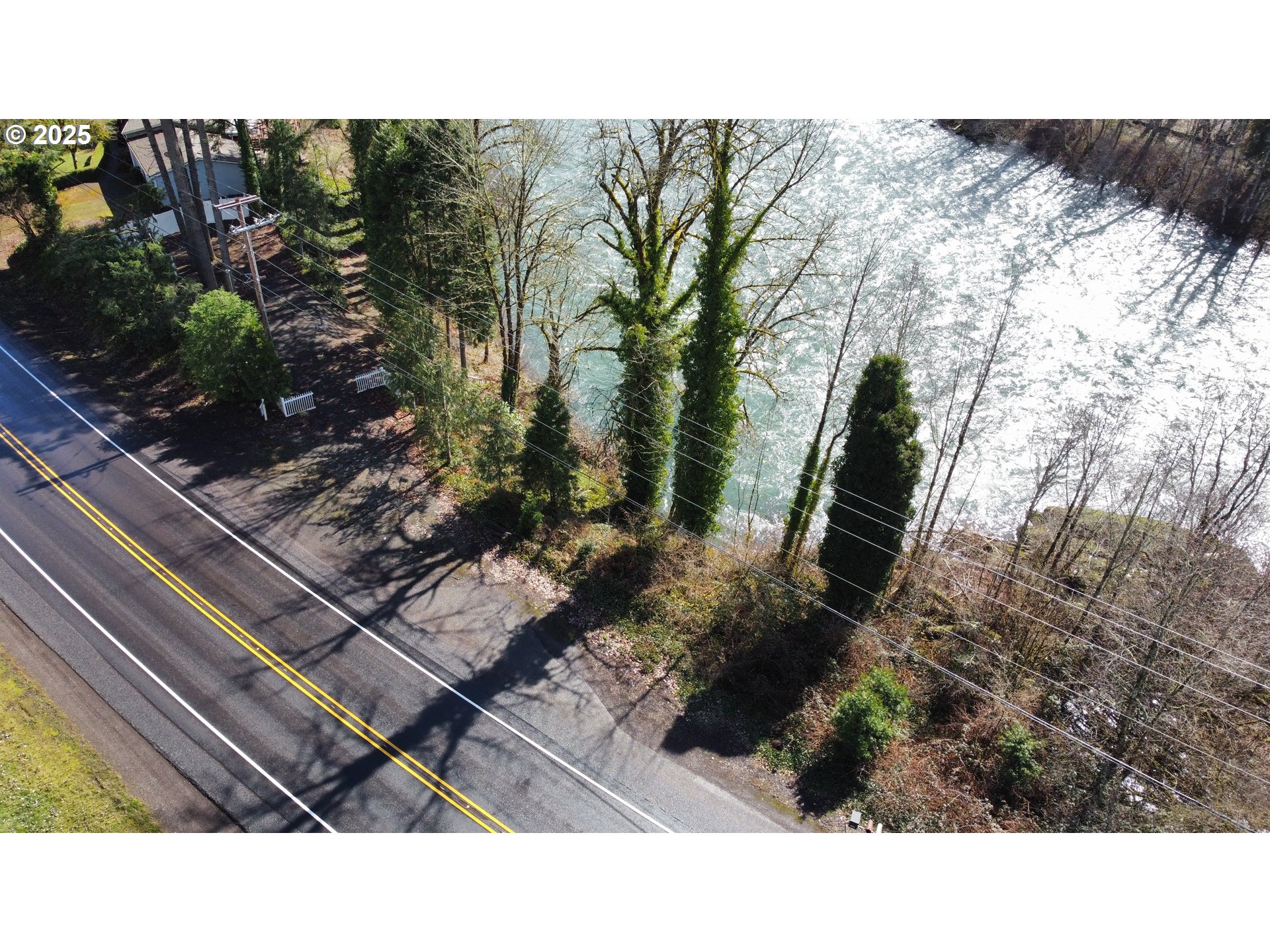 Mckenzie Highway Vida, OR 97488 - Photo 2 of 17