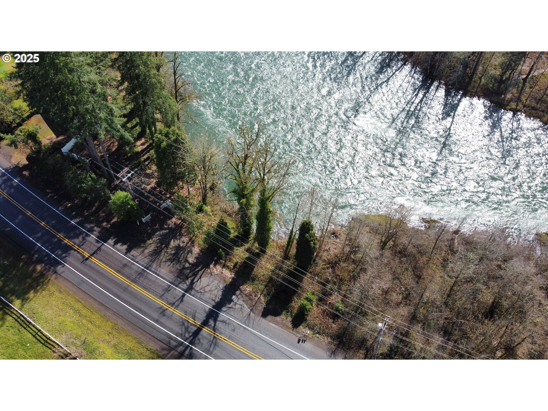 Mckenzie Highway Vida, OR 97488 - Photo 4 of 17