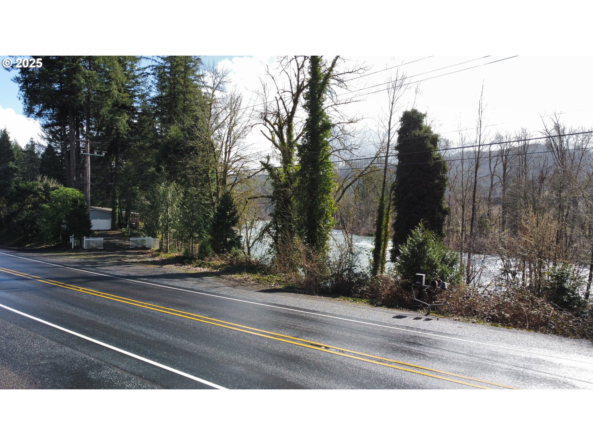 Mckenzie Highway Vida, OR 97488 - Photo 5 of 17