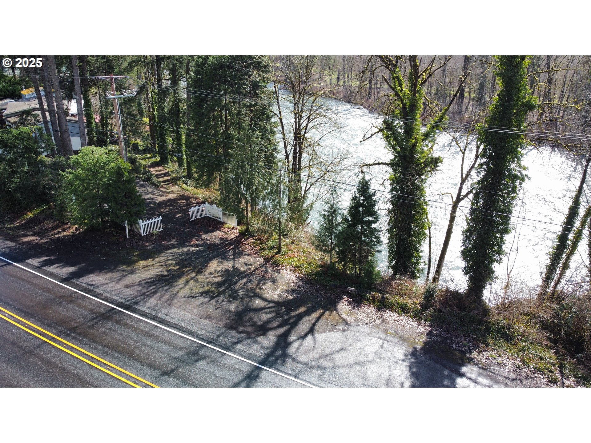 Mckenzie Highway Vida, OR 97488 - Photo 6 of 17